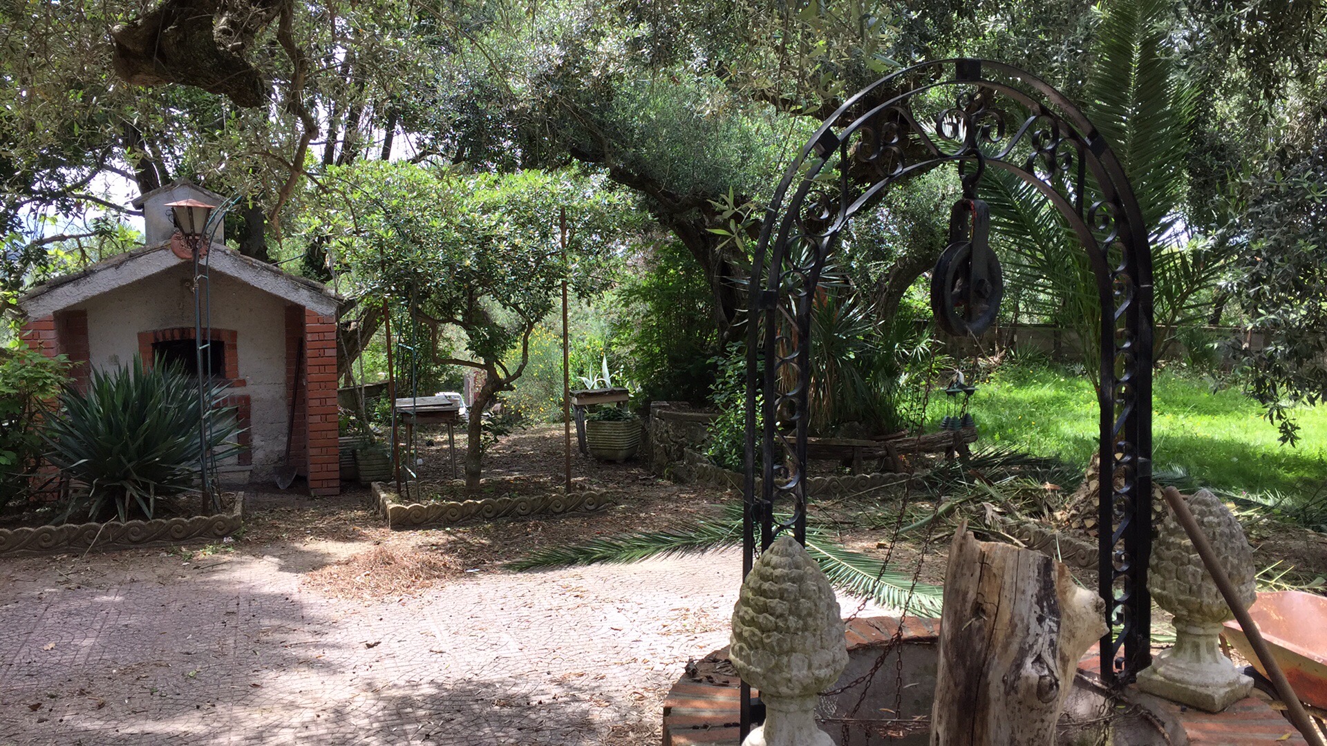 Scorcio della campagna di famiglia